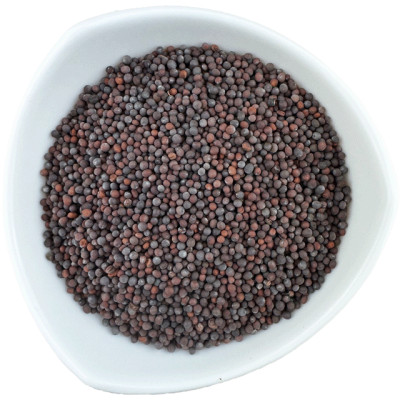 GORCZYCA CZARNA8.png